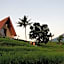 Padi Bali Jatiluwih