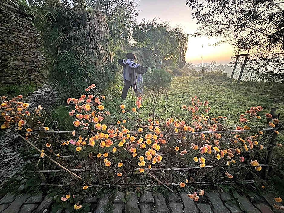 The Oak Trails Eco Lodge