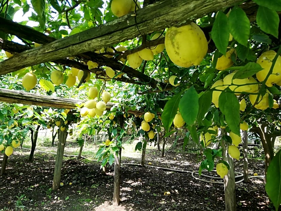 La Roccia Incantata Amalfi Coast