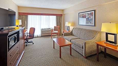 Suite-1 King Bed Non-Smoking Penthouse Oversized Room Sofabed High Speed Internet Access Microwave A