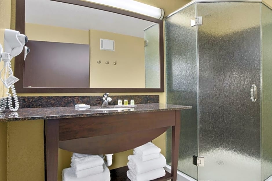Microtel Inn & Suites by Wyndham Buda Austin South