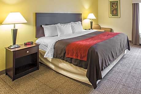 King Room with Roll-In Shower - Accessible/Non-Smoking