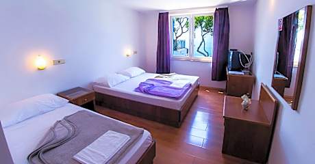 Standard Room with Sea View