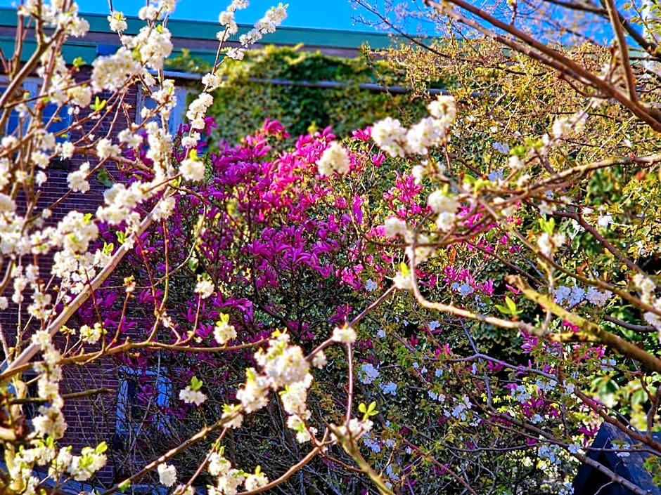 Chassé Hotel Residency