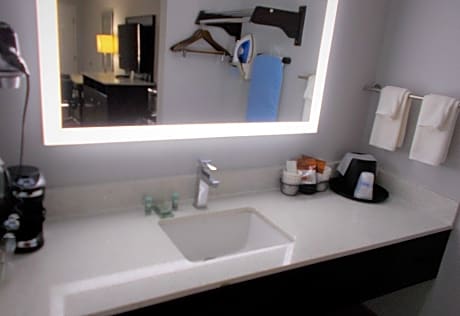 1 King Bed  Non-Smoking Sofabed Flat Screen Television High Speed Internet Access Microwave And Refr