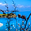 Kiwi House Waiheke