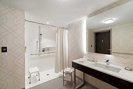 King Room - Disability Access Roll in Shower