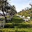 Cà Toresele Relais Osteria Garden