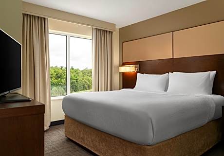 King Mountain view, Studio, 1 King, Sofa bed, Mountain view