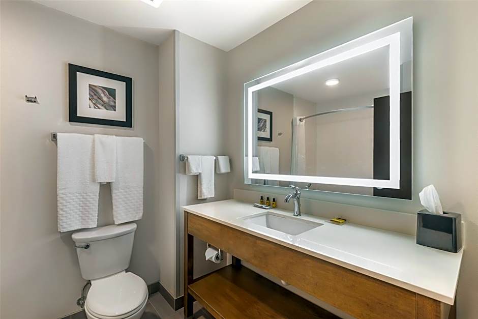 Best Western Plus Rapid City Rushmore