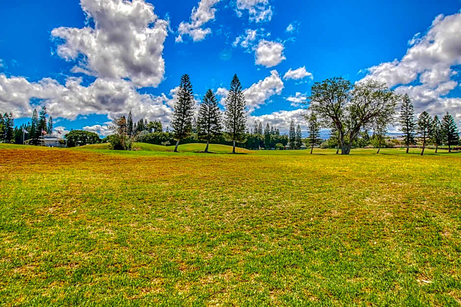 Waikoloa Fairways C120