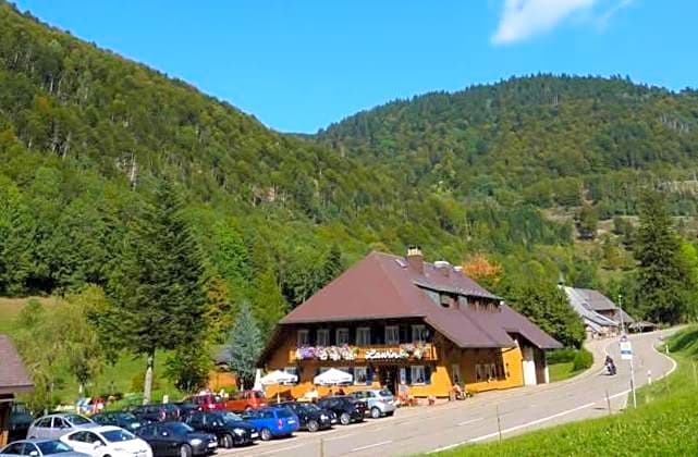 Hotel Lawine