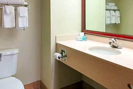 1 King Bed, Nonsmoking, Accessible