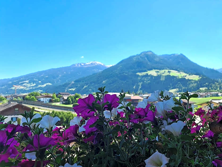 Hotel Alpenhof***
