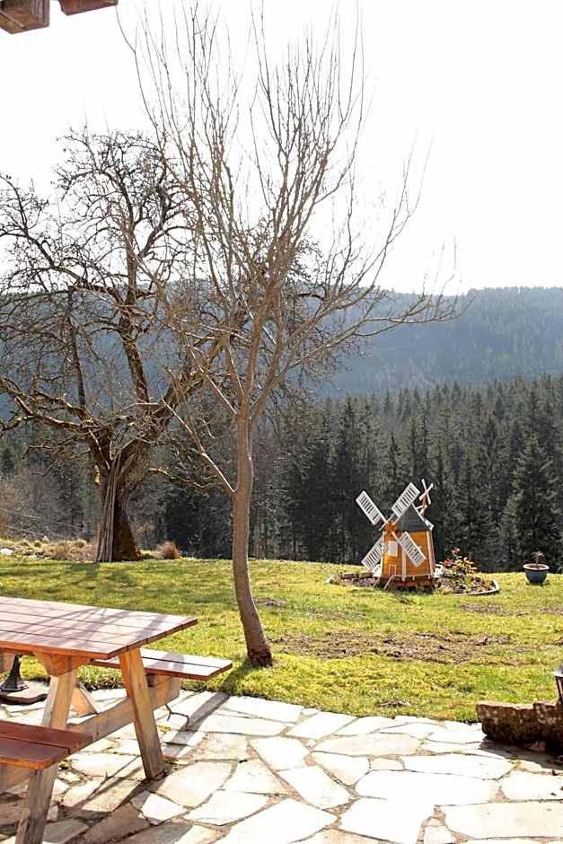 Schwarzwald-Gasthof Hirsch