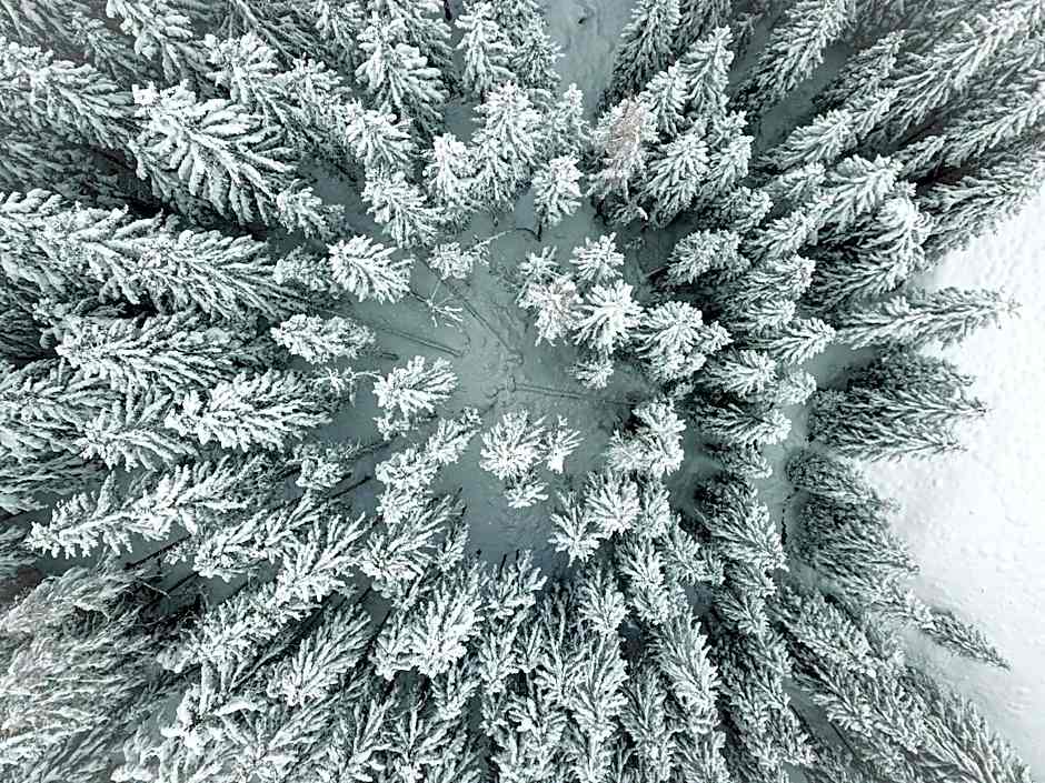 Hotel Sonnenhalde, Arosa