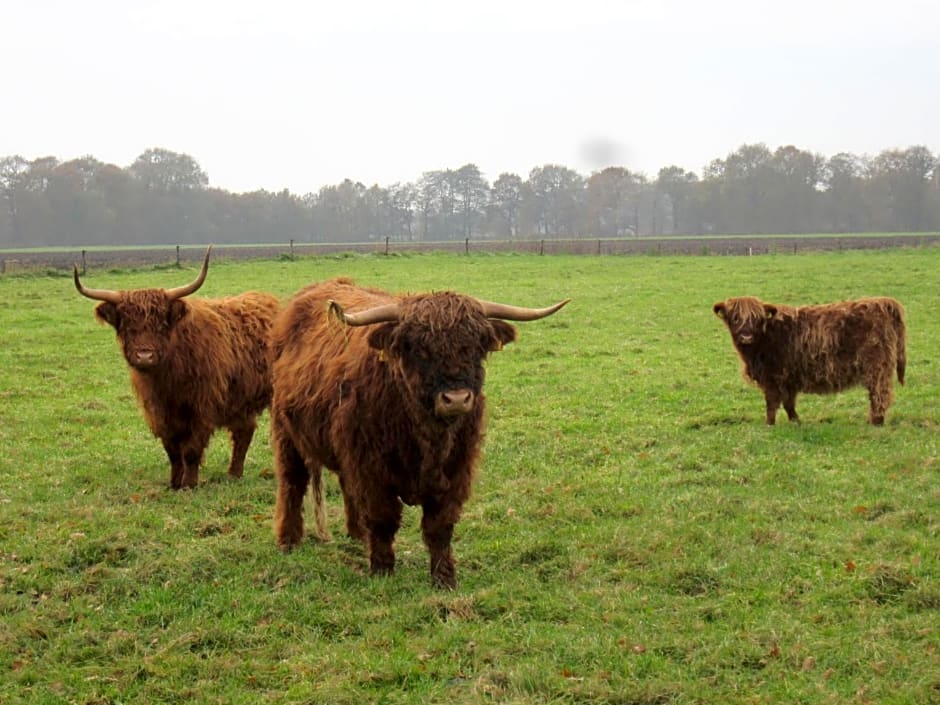 B&B Kleintje Eleveld