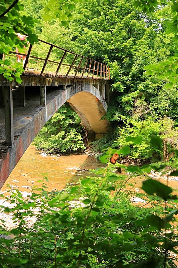 Domki w Smolniku z możliwością apiterapii