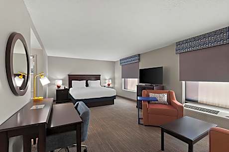1 King Bed Studio Suite W/ Sofabed Nonsmoking