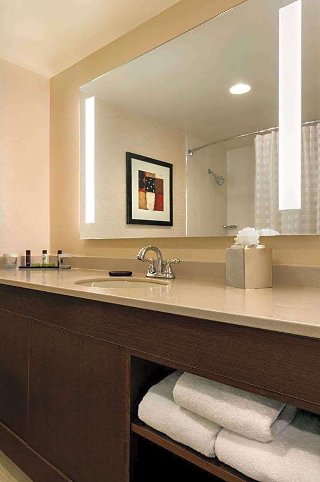 Photo 1 of 2 of 1 Bedroom 1 King Bed, Mobility Accessible, Bathtub
