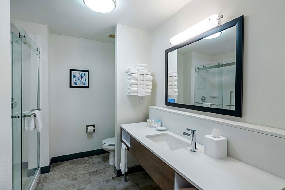 Hampton Inn & Suites Opelika-I-85 Auburn Area