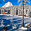 Landhaus Charlotte am Geigenbuehel -Apartments