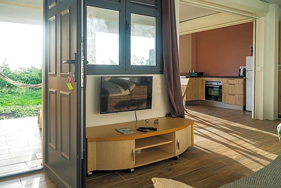 Studio : Écaille de tortue