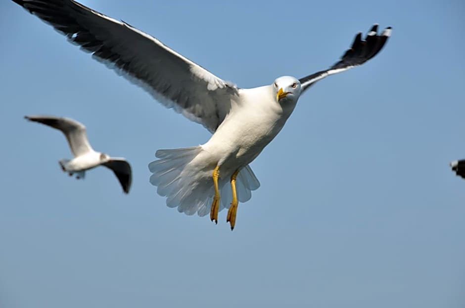 Fletcher Hotel - Restaurant de Cooghen