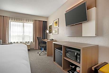King Room - Non-Smoking