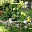 B&b San Nicola