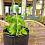 Hôtel Restaurant L'Industrie