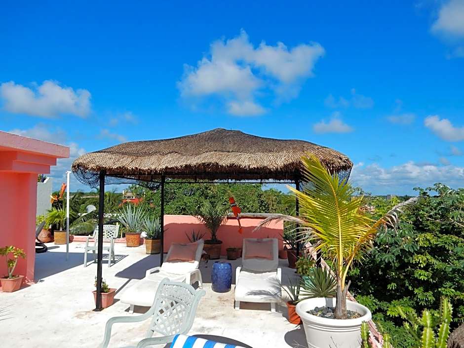 Casa Gatos