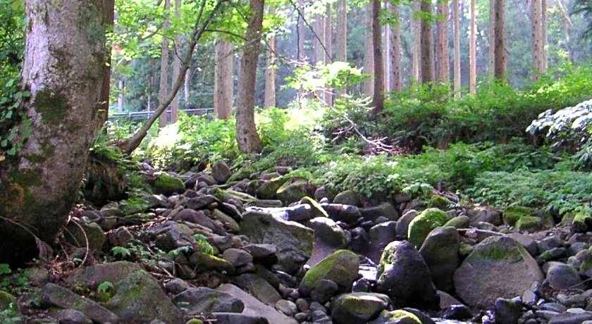 Guest House Seisenso