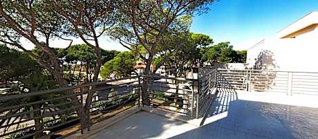 Superior Double or Twin Room, Terrace (2 Twin Beds)