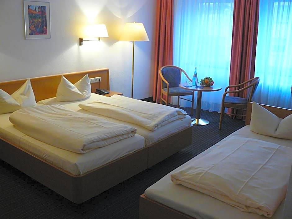 Hotel Pflieger - Superior