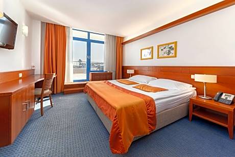 Double Room with Terrace