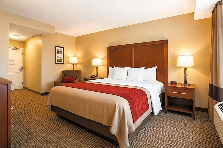 Comfort Inn Pomona Near Fairplex