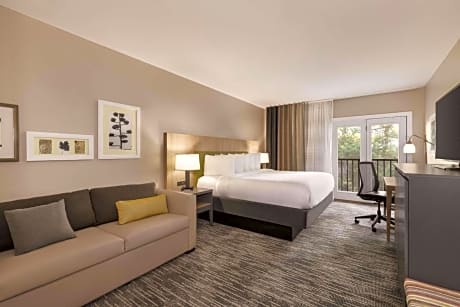 Studio Suite with King Bed and Sofa Bed - Non-Smoking