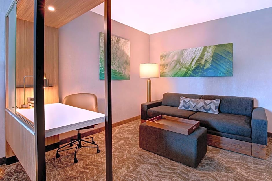SpringHill Suites by Marriott Orangeburg