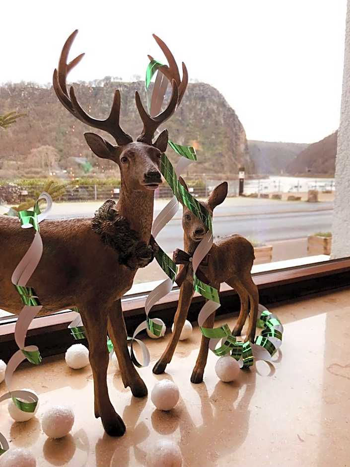 Hotel Cafe Restaurant Loreleyblick