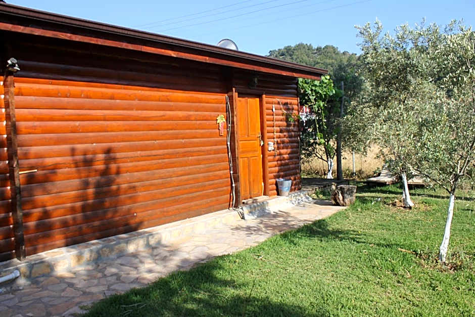 Sakin Vadi Winehouse