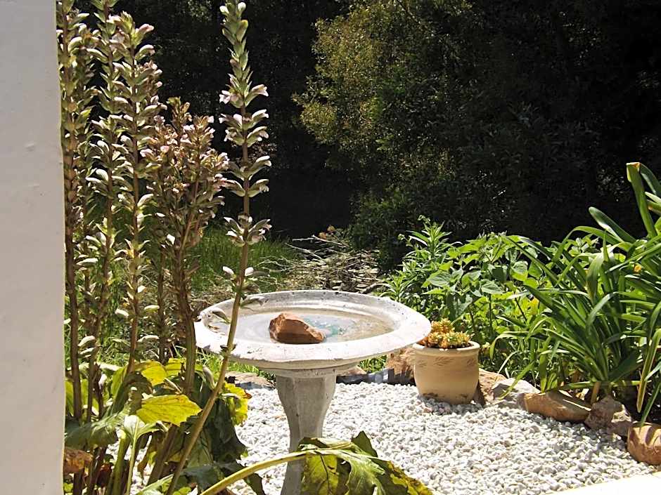 Masescha Country Estate