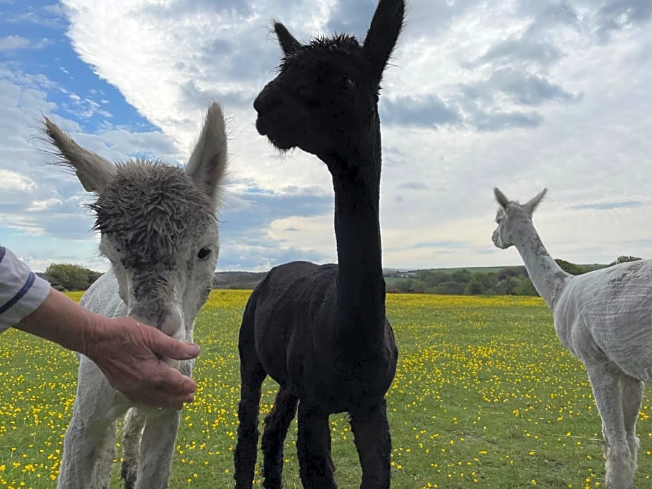 Wynards Farm Sunset room