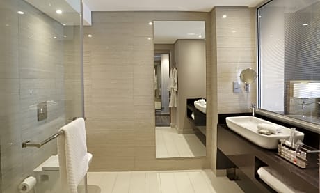 CLASSIC ROOM CITY VIEW