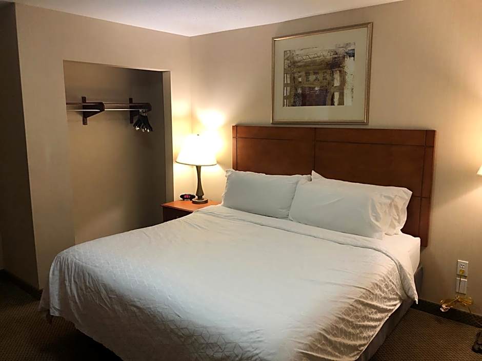 Holiday Inn Express Hotel & Suites Lansing-Dimondale By IHG