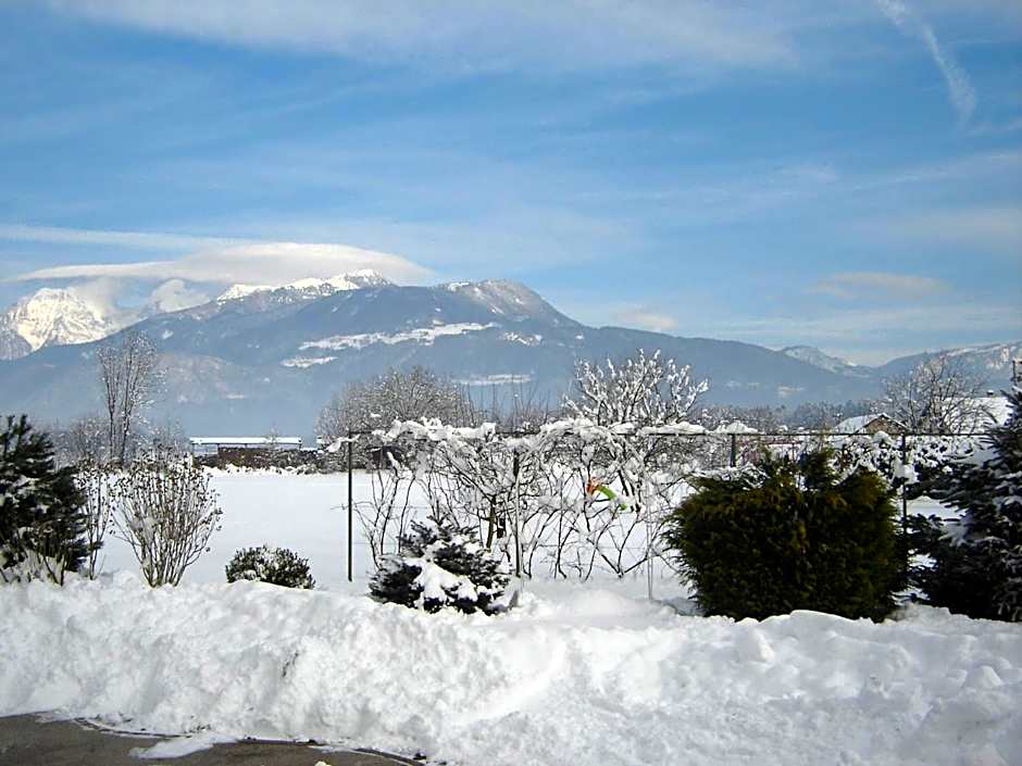 Rooms & Apartments Jana