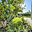 Villa Mouloud, Authentic Amazigh Family Villa, Fireplace & Garden