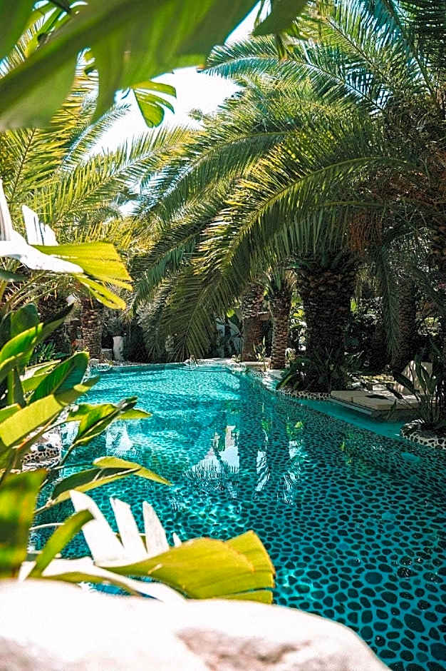 Flamingo Hotel and Spa