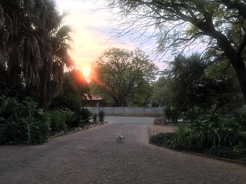 Aloe Guesthouse Klerksdorp