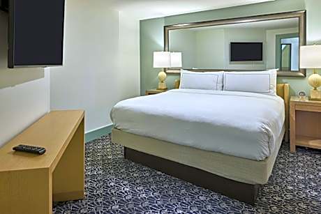 1 King Bed 1 Bedroom Suite With Sofabed